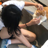 仙子狗尾巴花