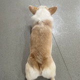 相忘于江湖