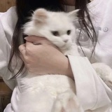 Nanabi