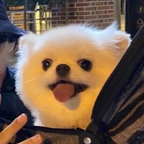 吃个橄榄芭