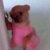 你看我干什么