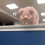 不能再吃了