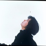 谎