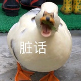 八卦王者
