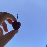 嘿嘿嘿嘿嘿嘿
