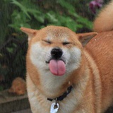 Wake