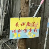 不麦我看什么