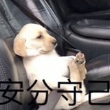 无人在意