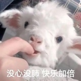 嘻嘻哈哈