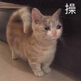 起风了