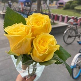 大化学家铵盐
