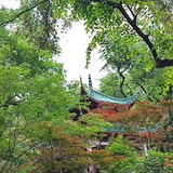 红豆绿豆