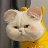 滴哩哩啦啦噜噜