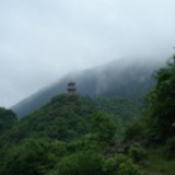 阿弥陀佛