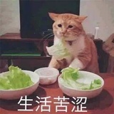 桃子味被注册了