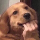 …