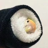 披萨心肠