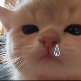 ouuu