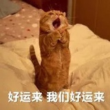 阿非