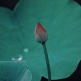 琉璃