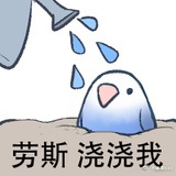 人机鸟