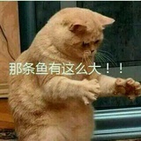 真相是假󾓭