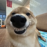 良好市民揽胜子