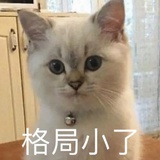 江湖pian子