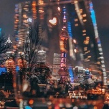 凤凰于飞