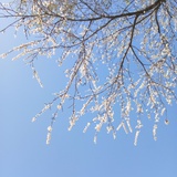 不送biu