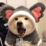 精神冒险家설아
