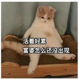 旺仔小馒头
