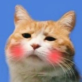 睡