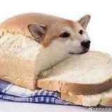不要害羞
