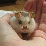 下一个