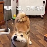 嘎嘣脆
