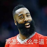 树懒爱上不上树