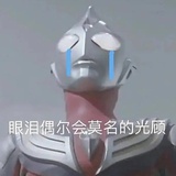 莫绯ZG