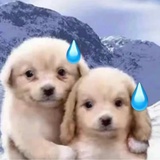想吃小龙虾