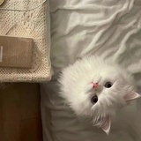 起名纠结症
