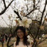 钠钠