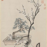 云庐小主