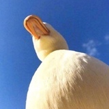 为谁、倾尽一生