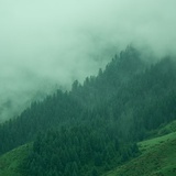 甜橘蜜柚酸柠檬