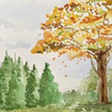 马涌杭（小马）