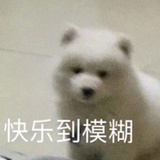 本质磕💊🐔