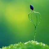 滋溜草莓果酱