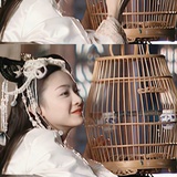 愚