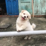 别久不悲