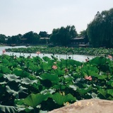 冬天来了